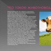 Животноводство это отрасль сельского хозяйства, занимающаяся разведением животных для производства животноводческих продуктов